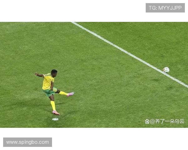 南非1-0韩国：世界杯A组末轮比赛回顾